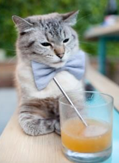 传奇的“胶着战”：那些渐入人心的经典比赛片段，胶着战是什么意思