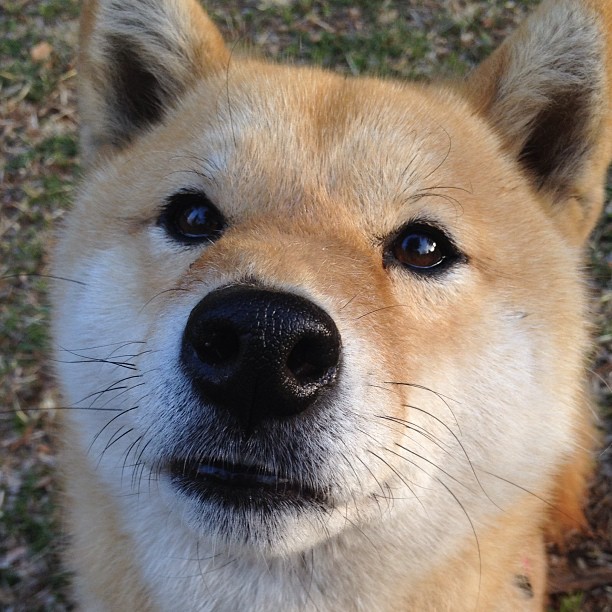 kaiyun官方入口登录-“球迷故事：从支持到狂热，感人瞬间”，球迷分享