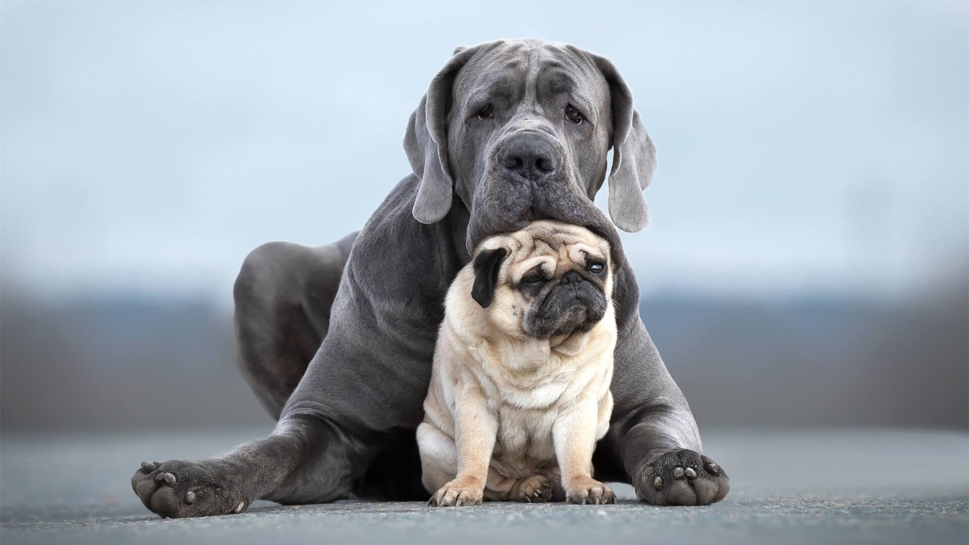 【明星运动员专访】比赛中他们的心态调节和训练经验,运动员 心态