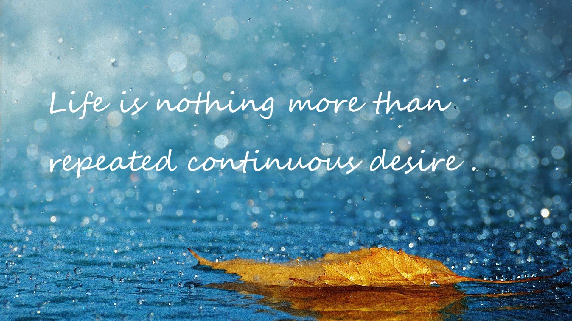 【明星运动员专访】比赛中他们的心态调节和训练经验,运动员 心态